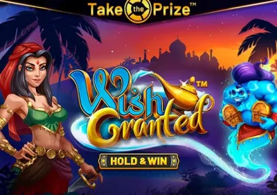 Wish Granted game screenshot